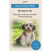 Havanese Dog: Education, training, character of Havanese Dogs - The Havanese Book