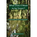 What Does it Mean to be 'Green'?: Sustainability, Respect & Spirituality