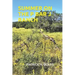 Summer on the P Bar J Ranch