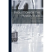 Evolution Of The Human Foot