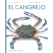 El Cangrejo