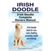 Irish Doodle. Irish Doodle Complete Owners Manual. Irish Doodle book for care, costs, feeding, grooming, health and training.