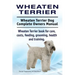 Wheaten Terrier. Wheaten Terrier Dog Complete Owners Manual. Wheaten Terrier book for care, costs, feeding, grooming, health and training.