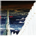 agon