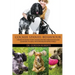 Cocker Spaniel Behaviour: Understanding Your Cocker Spaniel's Behaviour and Learning to Deal with Problems Effectively