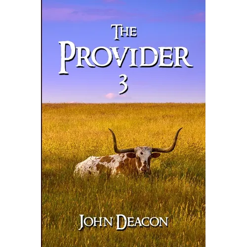The Provider 3