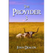 The Provider 3