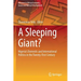 A Sleeping Giant?: Nigeria's Domestic and International Politics in the Twenty-First Century