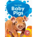 Baby Pigs
