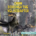 Discover the Velociraptor