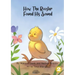 How The Rooster Found His Sound