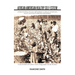 African American Healthy Self-Esteem: Understanding Why Low Self Esteem in African Americans Occur and How to Elevate Self-Esteem
