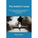 The Addict's Loop: A New Understanding And Workbook For Codependent Relationships And Addiction