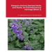 Diaspora Animal-Named Herbs and Roots: An Ethnobotanical Heritage (Book 2)