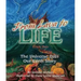 From Lava to Life: The Universe Tells Our Earth Story