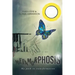Metamorphosis: My path to transformation