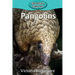 Pangolins