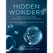 Hidden Wonders: The Subtle Dialogue Between Physics and Elegance