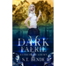 Dark Faerie: Alfheim Academy: Book Two
