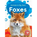 Foxes