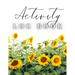 Activity Log Book: Large Daily Record of Time, Tasks, Appointments, or Contacts for Work, Office, Projects, Home, or Personal Use (Sunflowers Cover)