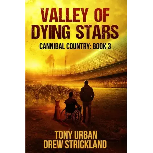 Valley of Dying Stars: A Post Apocalyptic Thriller