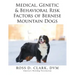 Medical, Genetic & Behavioral Risk Factors of Bernese Mountain Dogs
