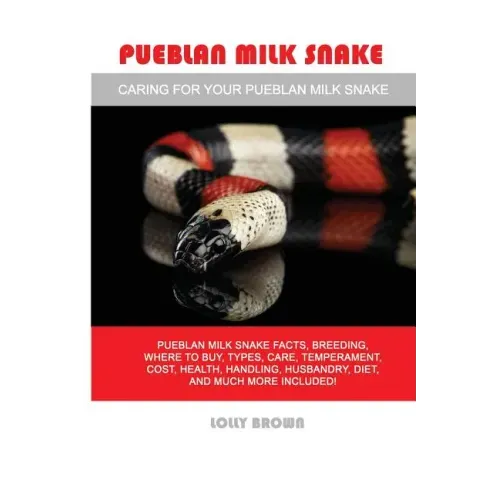 Pueblan Milk Snake: Pueblan Milk Snake facts, breeding, where to buy, types, care, temperament, cost, health, handling, husbandry, diet, a
