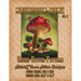 Mushroom Home 2 Cross Stitch Pattern