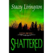E-Day Book 1: Shattered