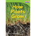 How Plants Grow