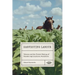 Harvesting Labour: Tobacco and the Global Making of Canada's Agricultural Workforce