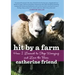 Hit by a Farm: How I Learned to Stop Worrying and Love the Barn
