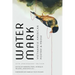 Watermark: Vietnamese American Poetry and Prose, 25th Anniversary Edition