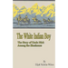 The White Indian Boy: The Story of Uncle Nick Among the Shoshones