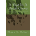A Year In A Druid Grove: Celebrating the Seasonal Festivals on the Wheel of the Year
