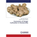 Economics of Ginger Cultivation in Kerala, India