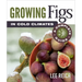 Growing Figs in Cold Climates: A Complete Guide