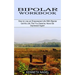 Bipolar Workbook: How to Live an Empowered Life With Bipolar (Get the Life That You Deserve, Never Be Depressed Again!)