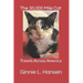 The 30,000 Mile Cat: Travels Across America