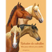 Retratos de caballos libro para colorear para adultos