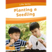 Planting a Seedling