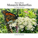 How to Raise Monarch Butterflies: For Children with Adults