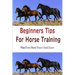 Beginners Tips for Horse Training