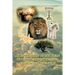 An Examination of the Theme of Discipleship in The Seven Churches of Revelation