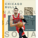 The Story of the Chicago Bulls