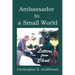 Ambassador to a Small World: Letters from Chad