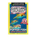 Everything You Should Know About: Puffer Fish Faster Learning Facts
