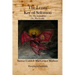The Lesser Key of Solomon: The Lemegeton