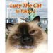 Lucy The Cat In Tokyo 2